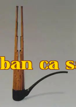Sáo: 